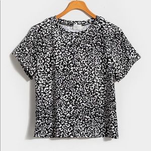 NWT Francesca’s Arica leopard print t shirt blouse